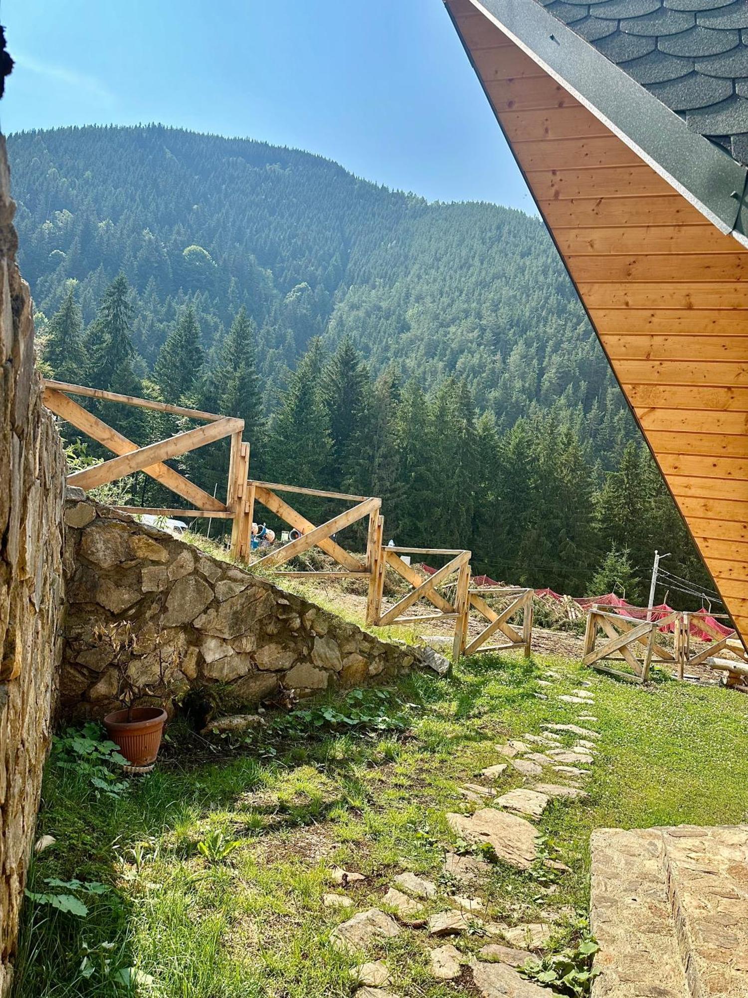 Villa Domul Poarta Retezat Rausor Exterior foto
