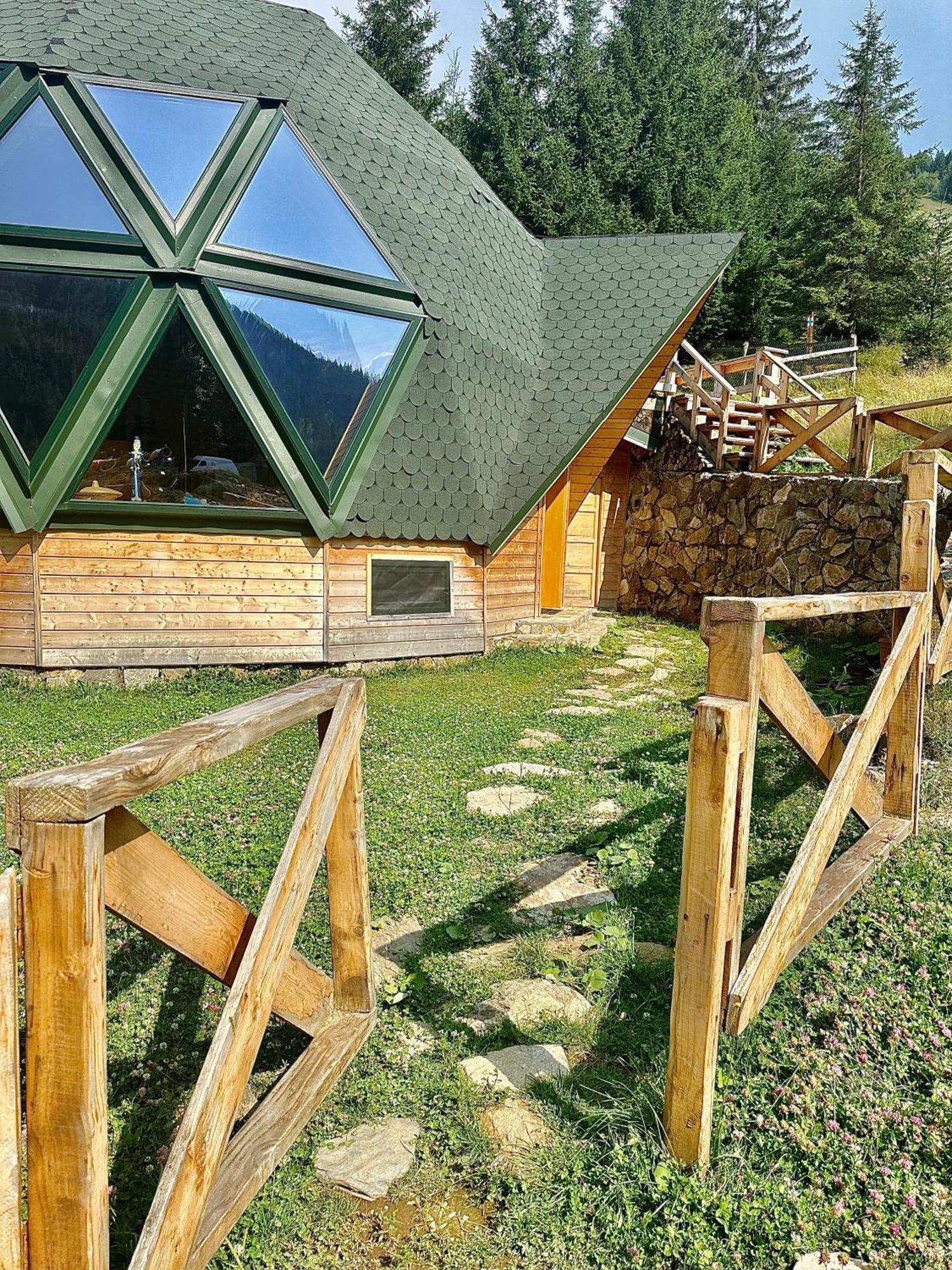 Villa Domul Poarta Retezat Rausor Exterior foto
