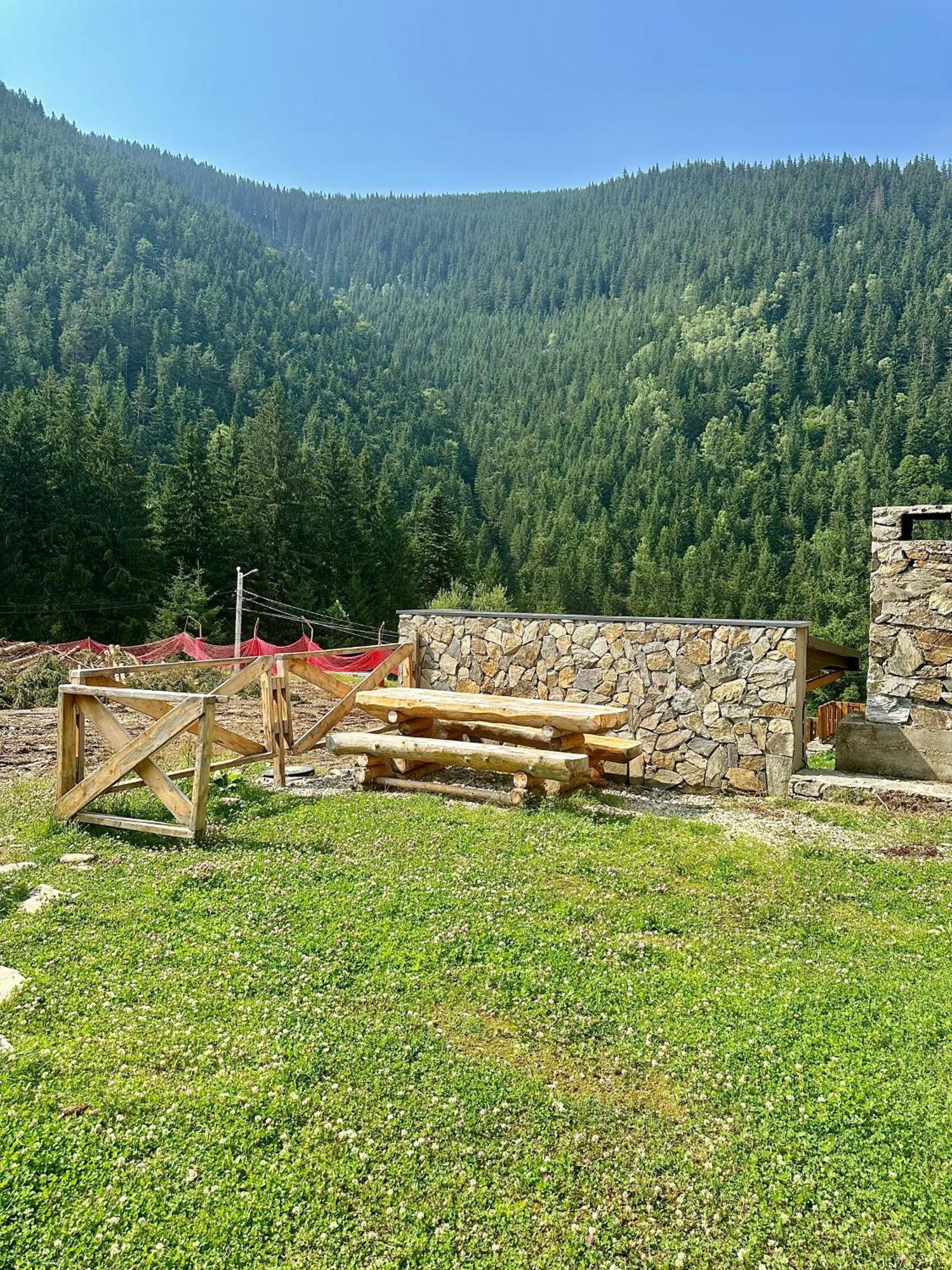 Villa Domul Poarta Retezat Rausor Exterior foto